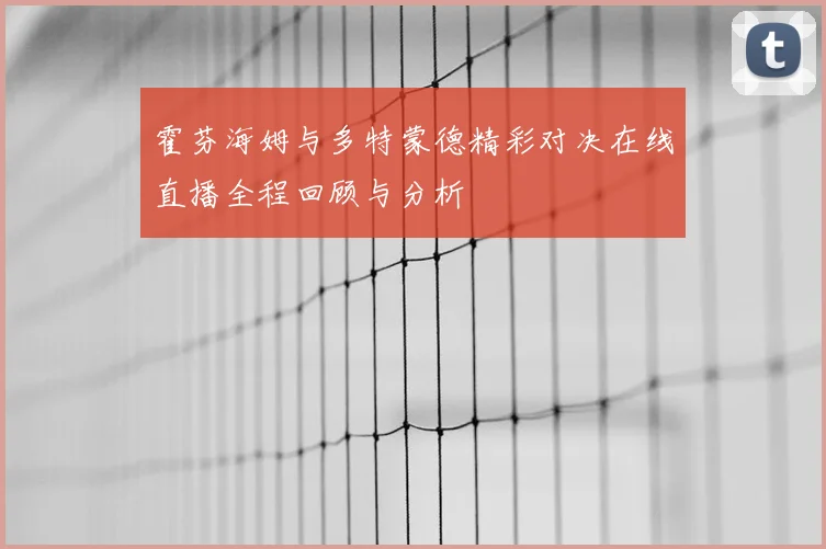 霍芬海姆与多特蒙德精彩对决在线直播全程回顾与分析