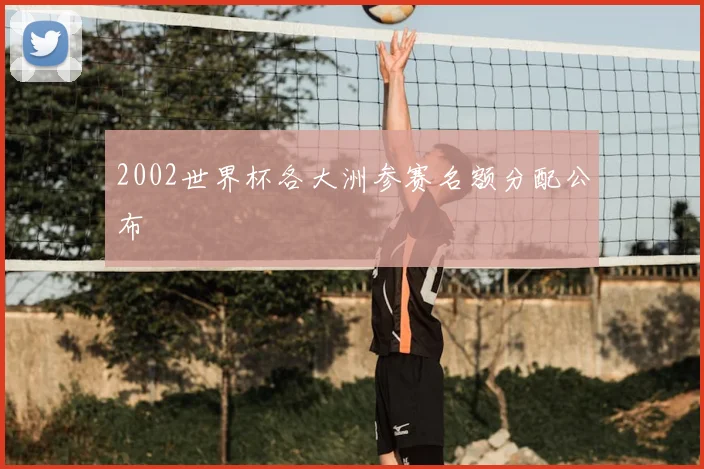 2002世界杯各大洲参赛名额分配公布