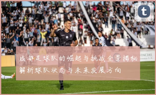 成都足球队的崛起与挑战全景揭秘解析球队状态与未来发展方向