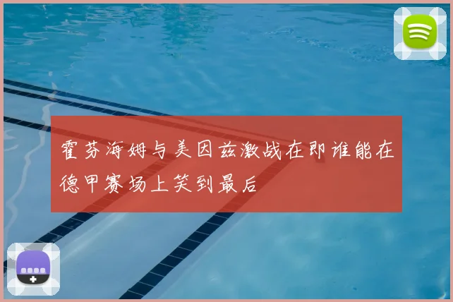 霍芬海姆与美因兹激战在即谁能在德甲赛场上笑到最后