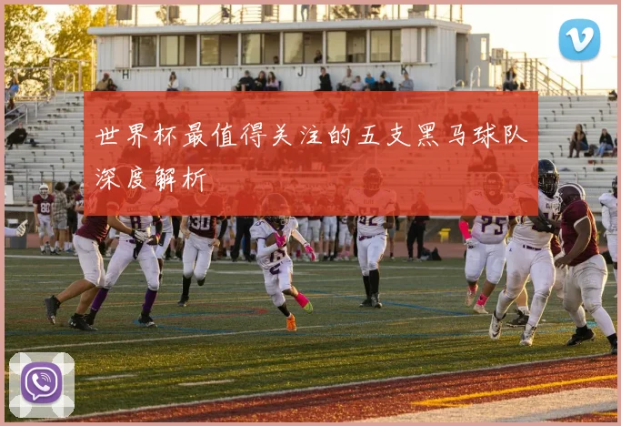 世界杯最值得关注的五支黑马球队深度解析