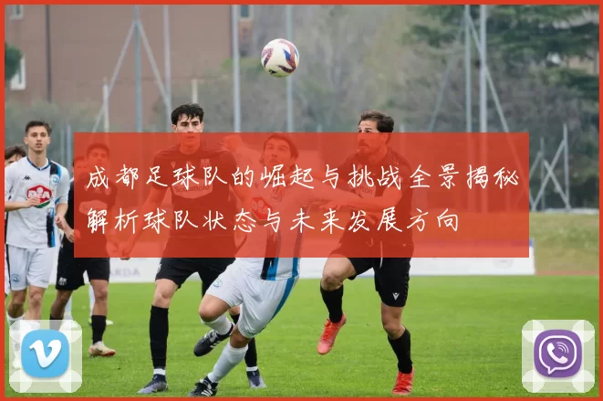 成都足球队的崛起与挑战全景揭秘解析球队状态与未来发展方向