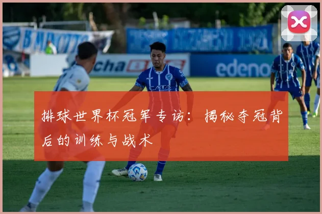 排球世界杯冠军专访：揭秘夺冠背后的训练与战术