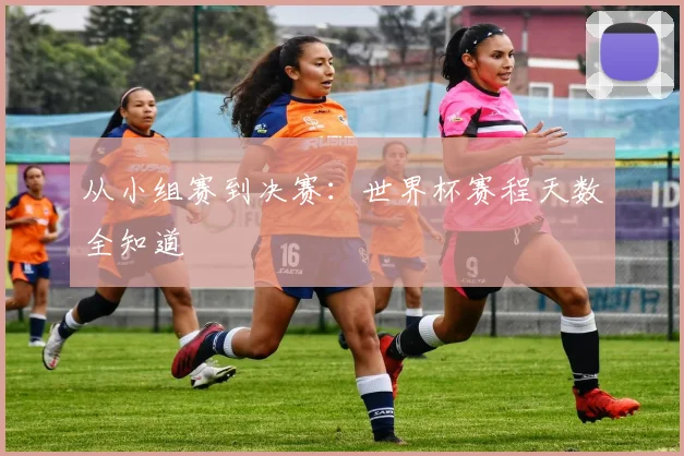 从小组赛到决赛：世界杯赛程天数全知道