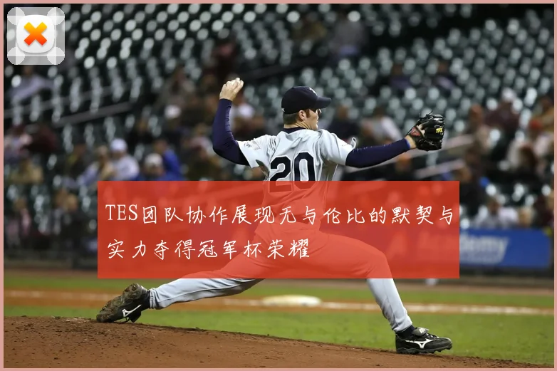 TES团队协作展现无与伦比的默契与实力夺得冠军杯荣耀