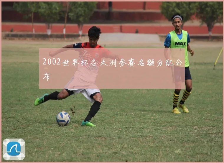 2002世界杯各大洲参赛名额分配公布