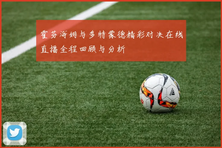霍芬海姆与多特蒙德精彩对决在线直播全程回顾与分析