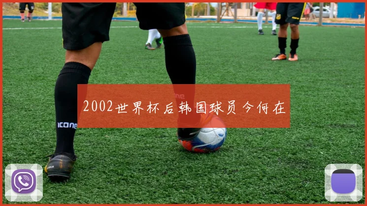 2002世界杯后韩国球员今何在