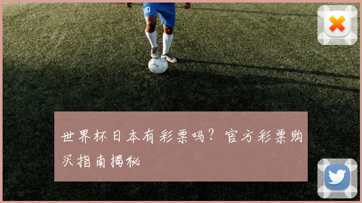 世界杯日本有彩票吗？官方彩票购买指南揭秘
