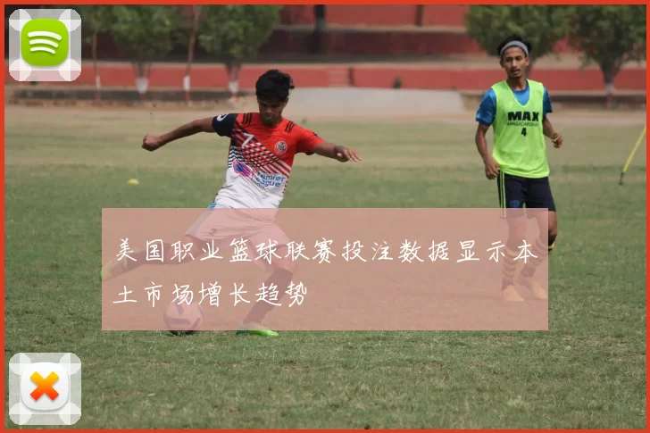美国职业篮球联赛投注数据显示本土市场增长趋势