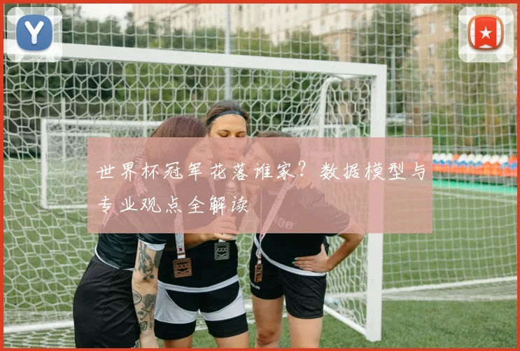 世界杯冠军花落谁家？数据模型与专业观点全解读
