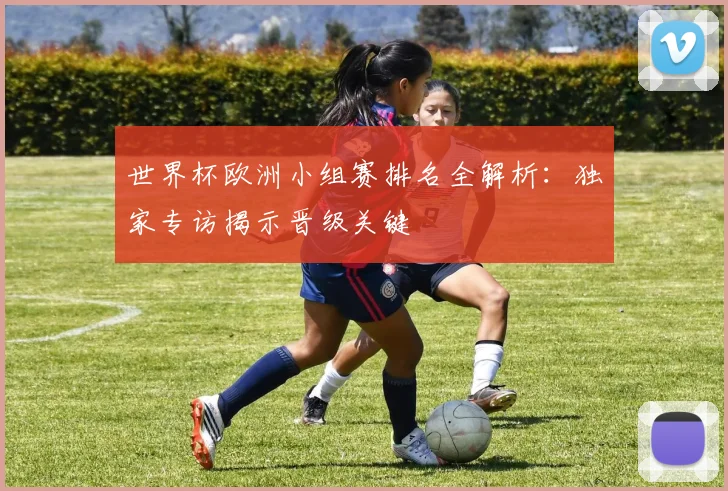 世界杯欧洲小组赛排名全解析：独家专访揭示晋级关键